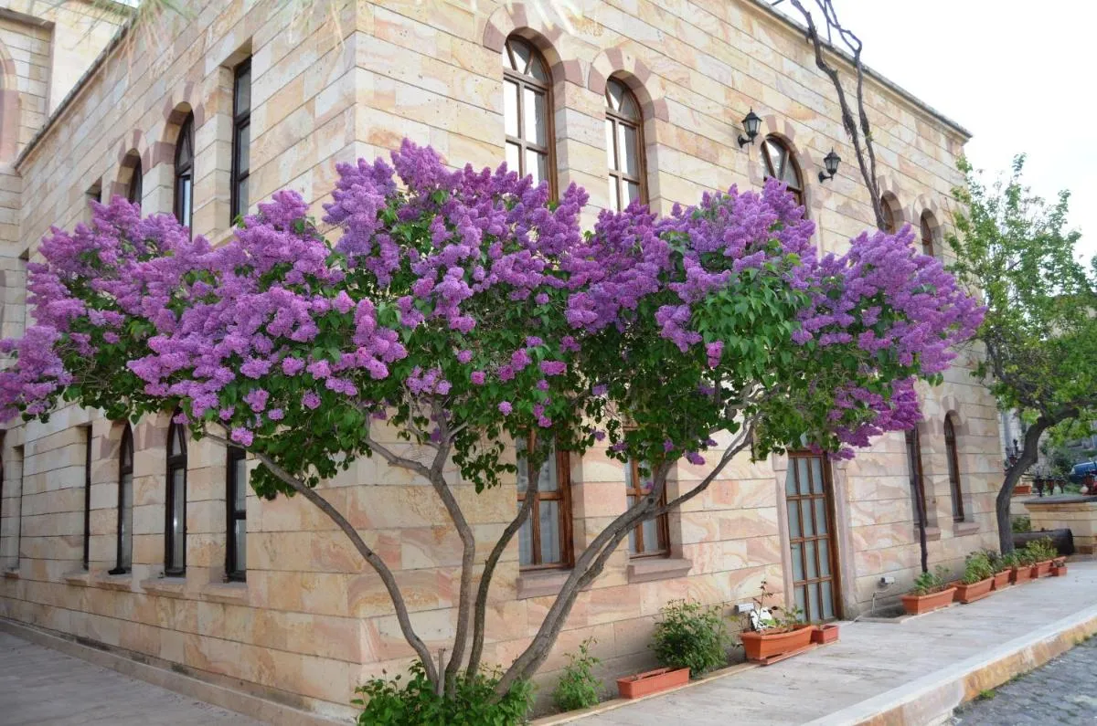 ⁨Akuzun Stone Hotel⁩ — صورة 15