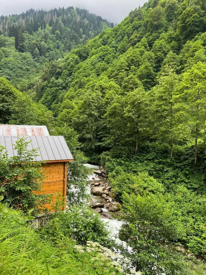 ⁨فندق آيدر هاشيموغلو⁩ — صورة 12