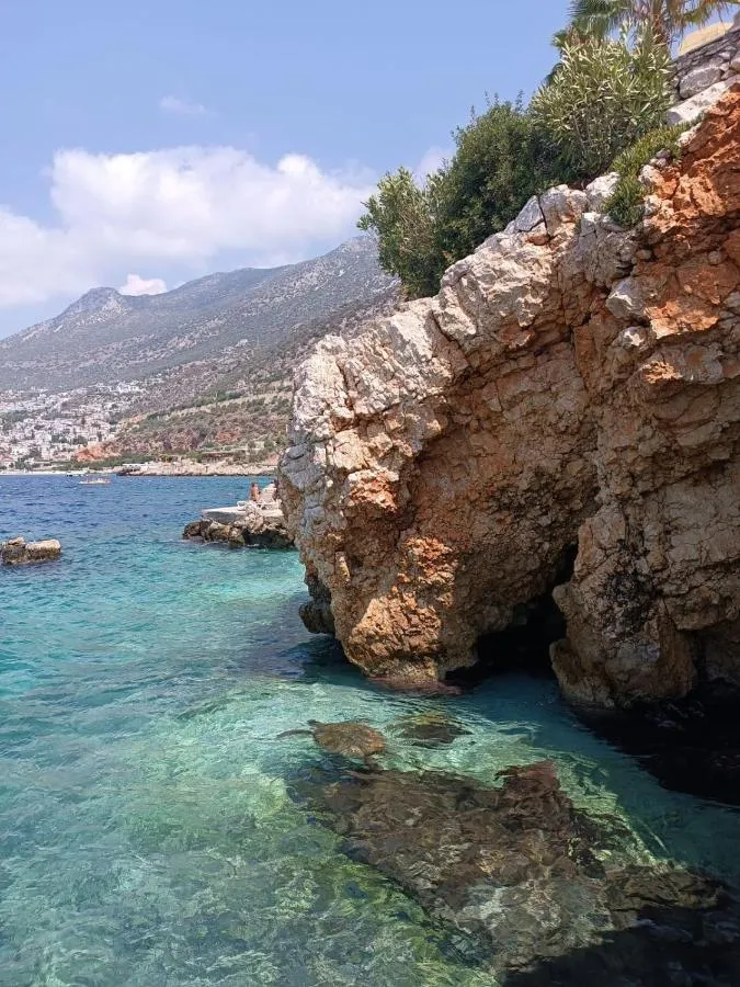 ⁨Cactus Garden Kalkan - Club Patara Villas⁩ — صورة 20