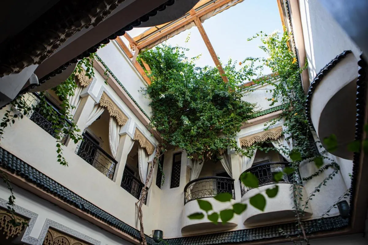 رياد ارابيسقوي — صورة 4