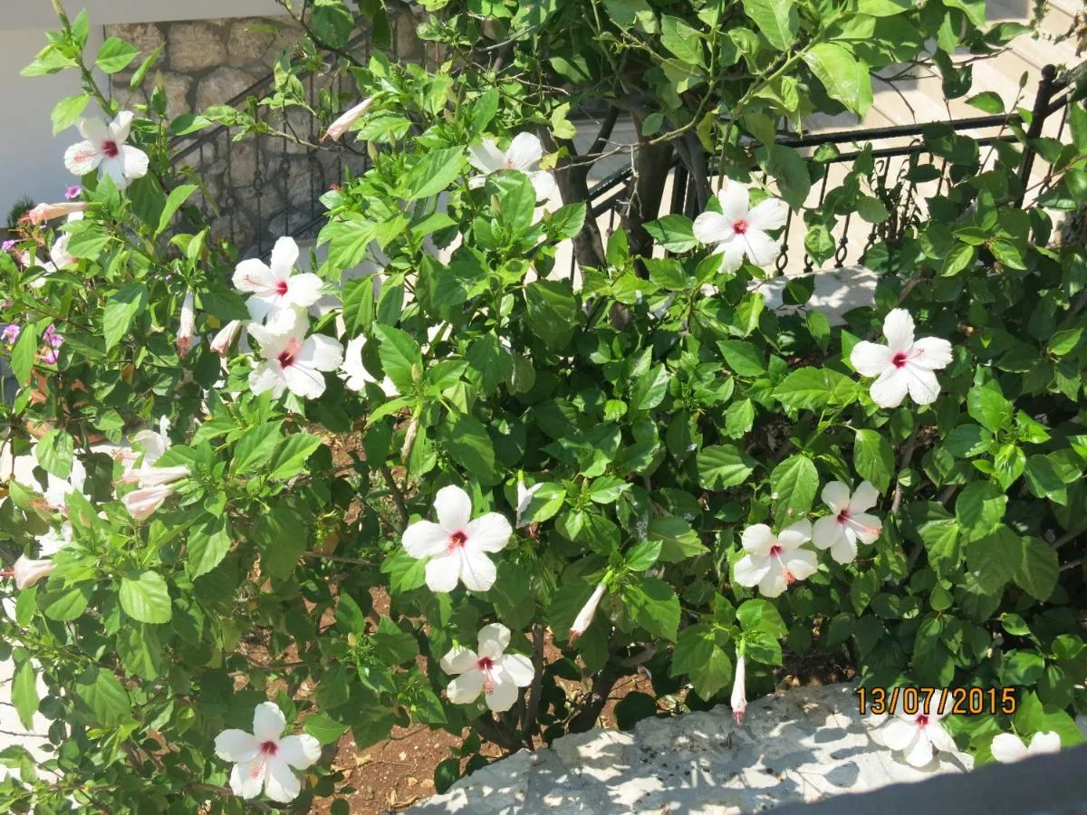 ⁨كولوبي هوتيل⁩ — صورة 44