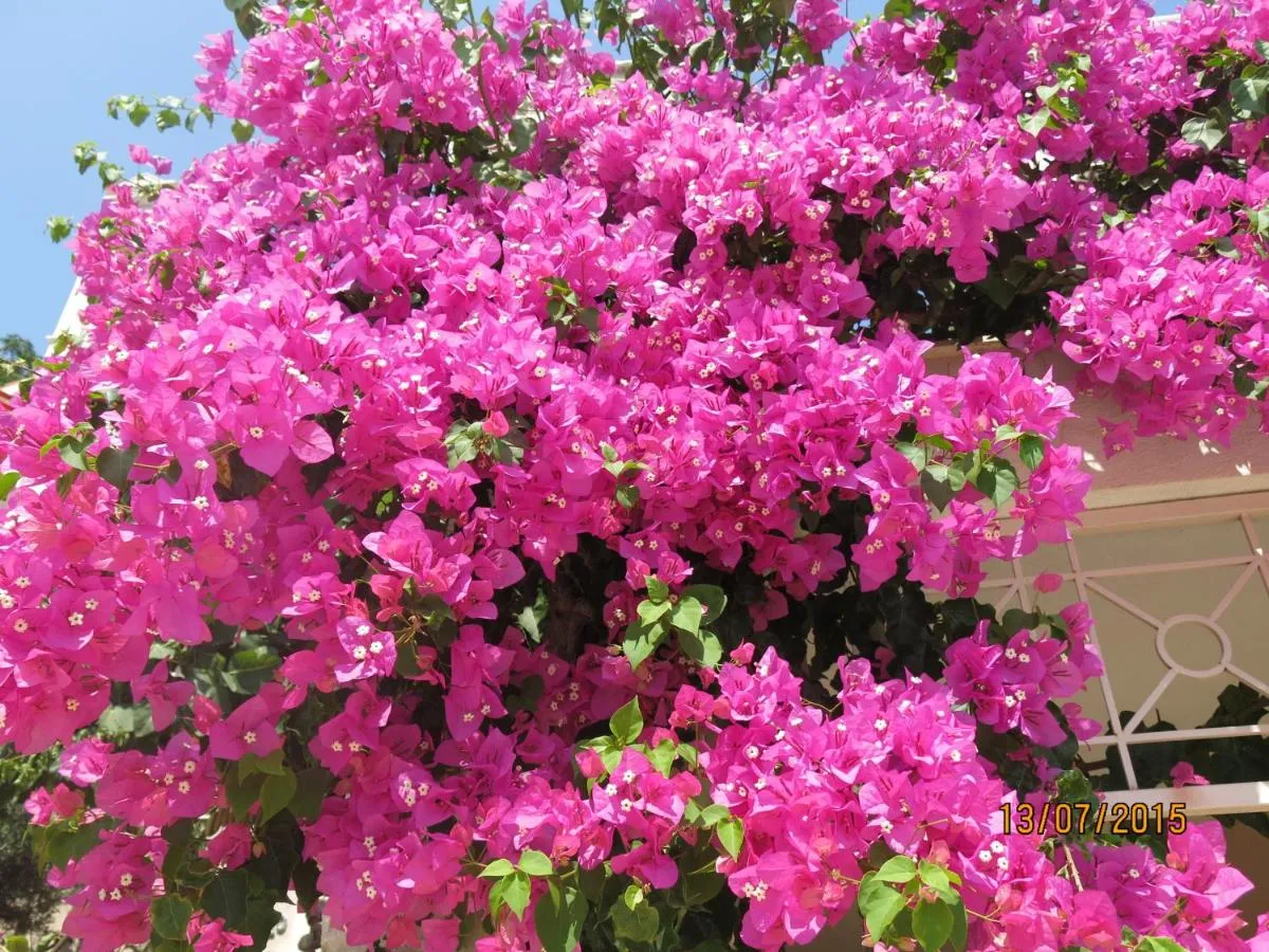 ⁨كولوبي هوتيل⁩ — صورة 45