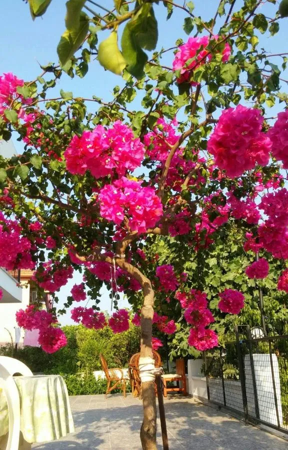 ⁨Tavilogullari Villa Apart⁩ — صورة 8