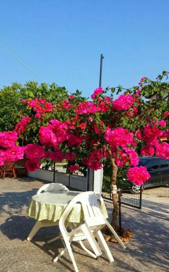 ⁨Tavilogullari Villa Apart⁩ — صورة 13