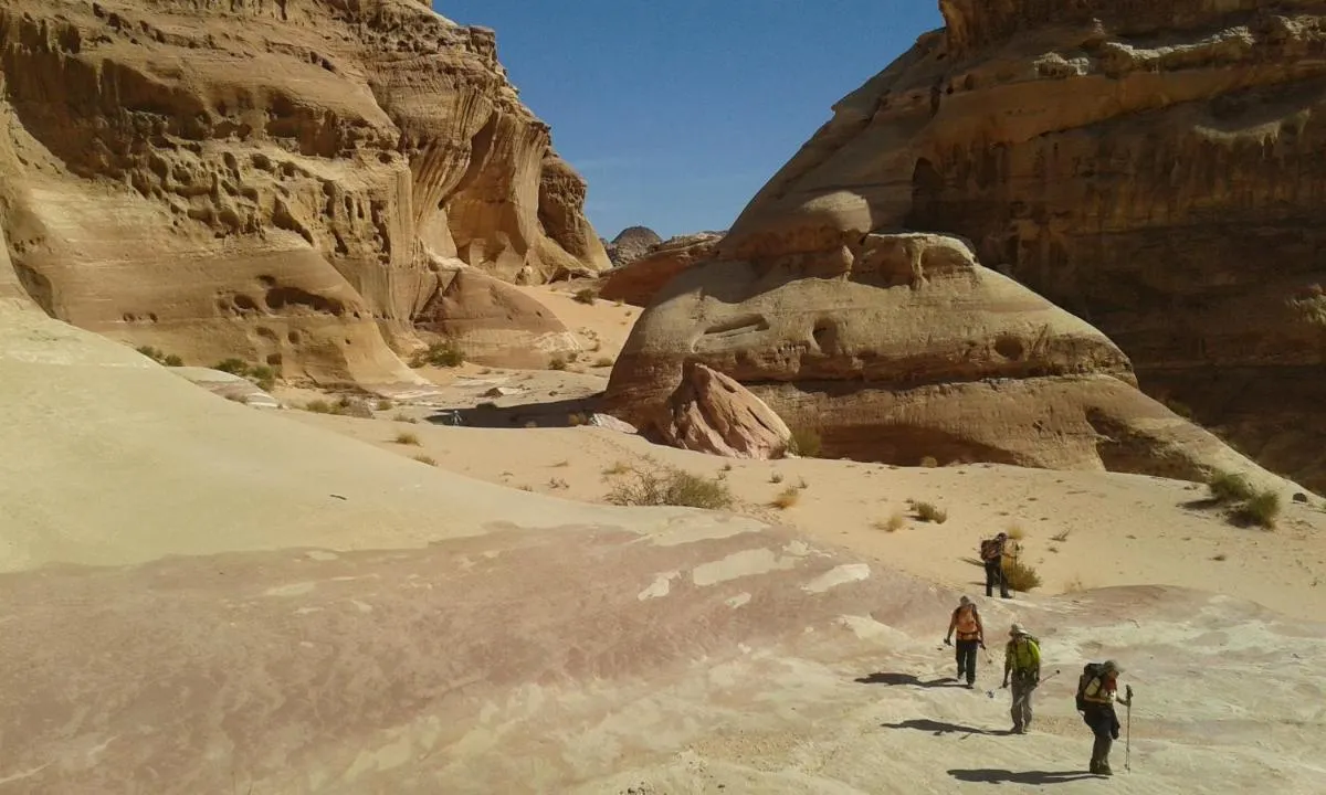 ⁨ساليم سامب⁩ — صورة 32
