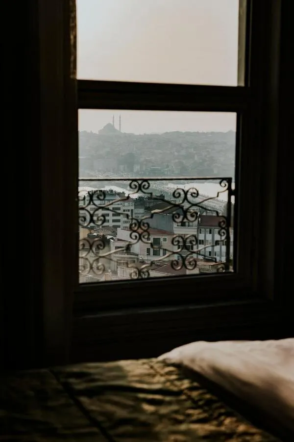 انيمون كوليكسييون غالاتا وتيل — صورة 2