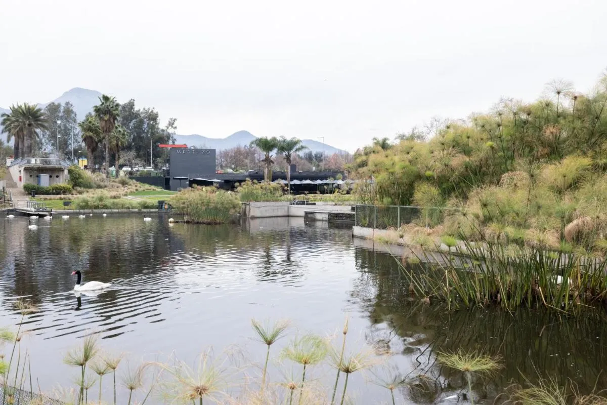 هوليداي إن إكسبريس سانتياغو لاس كوندس — صورة 4