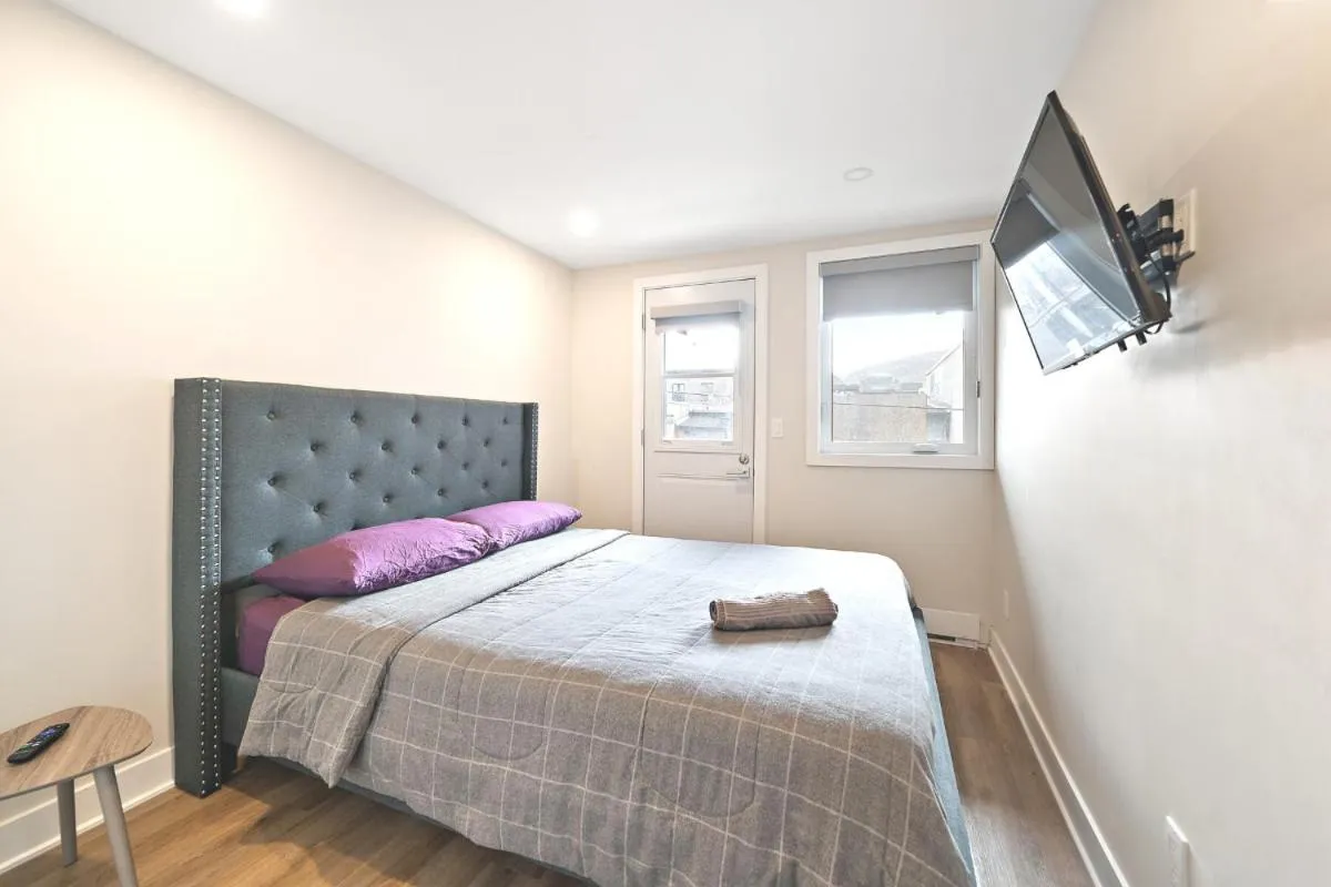 كوزي 3بدر ين هيرت وف بلاتيو مونتريل د — صورة 2