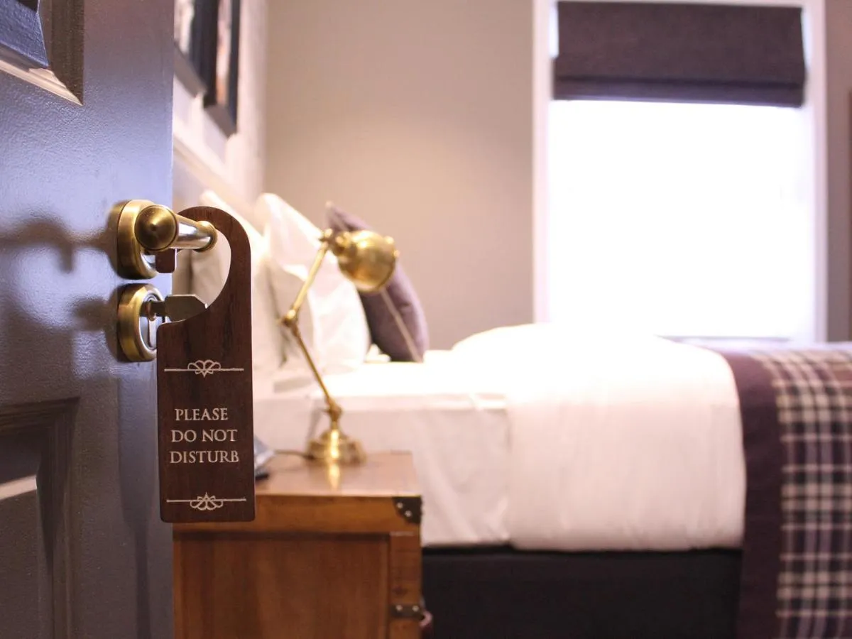 ون تون بوب و رومس — صورة 2