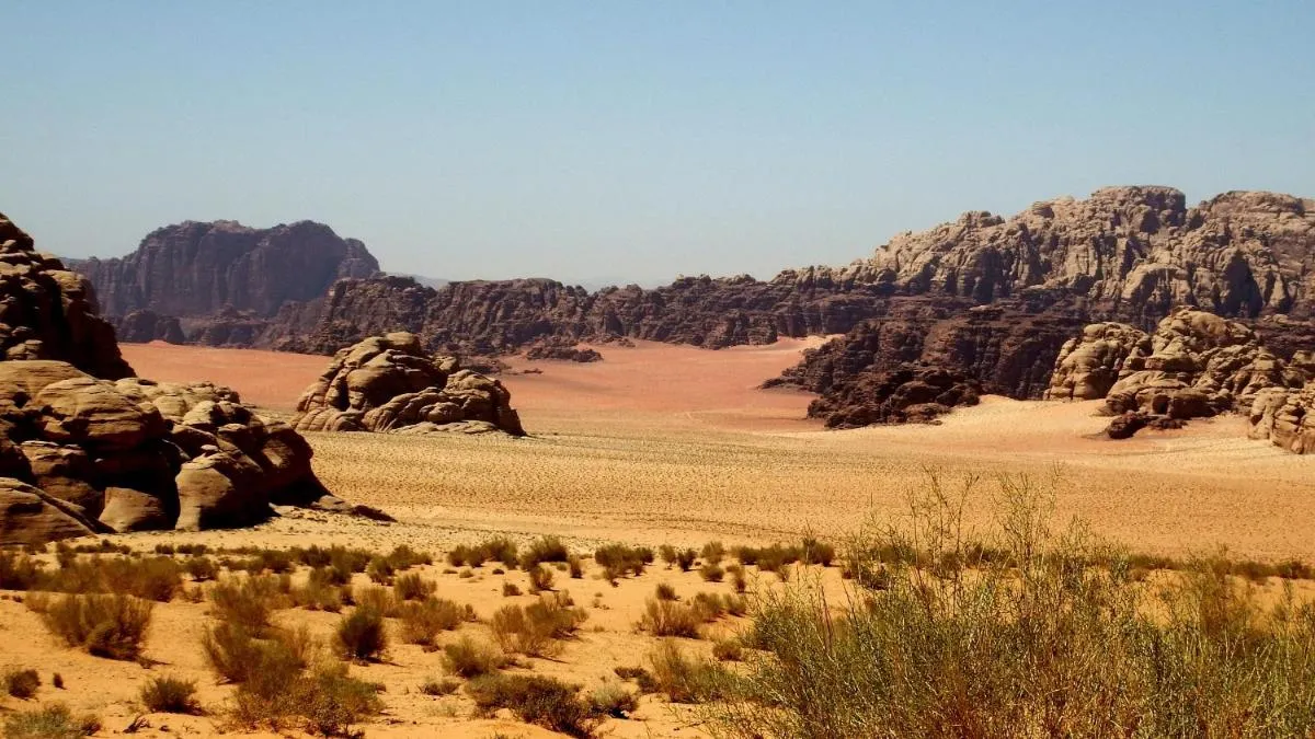 ⁨ساليم سامب⁩ — صورة 37