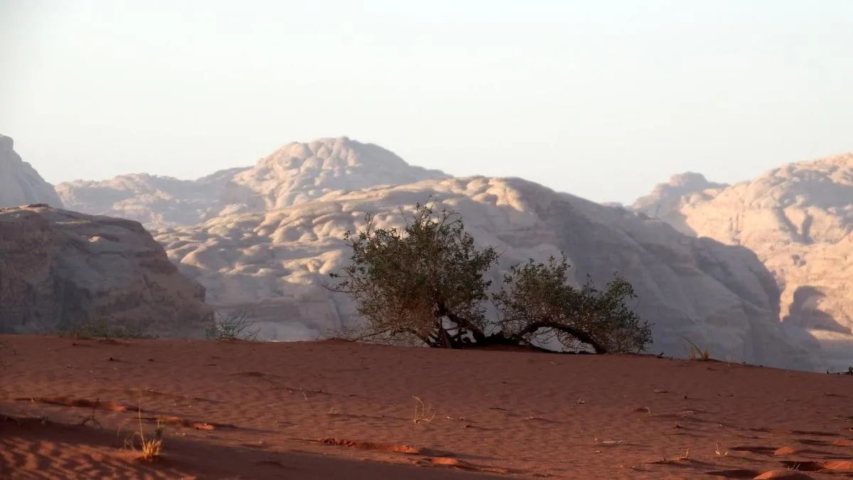 ⁨ساليم سامب⁩ — صورة 38