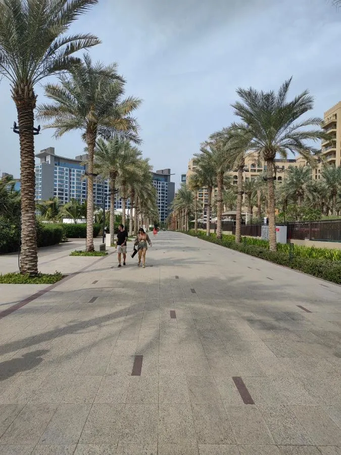 ⁨7 palm jumeirah West Beach⁩ — صورة 47