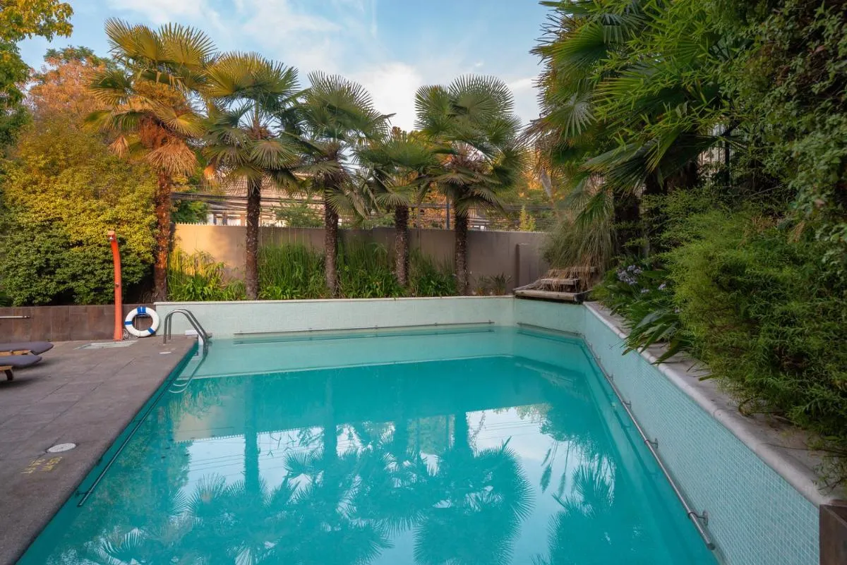 ديركتور فيتاكورا — صورة 3