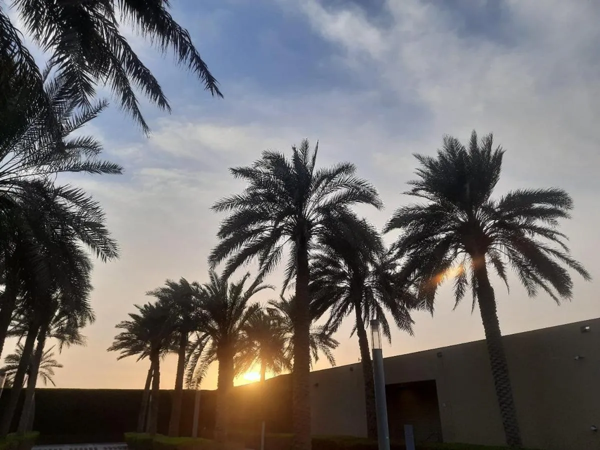 ⁨الل سيزونز هوتيل ال اين - بريفيووسلي سيتي سيزونز⁩ — صورة 33
