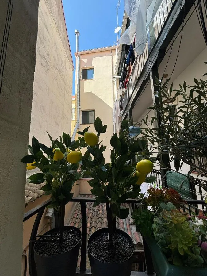 ⁨كوزي آند سنترال مالاسانيا⁩ — صورة 29