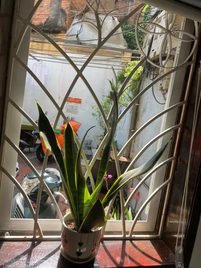 ماي هاوس واشنطن — صورة 2
