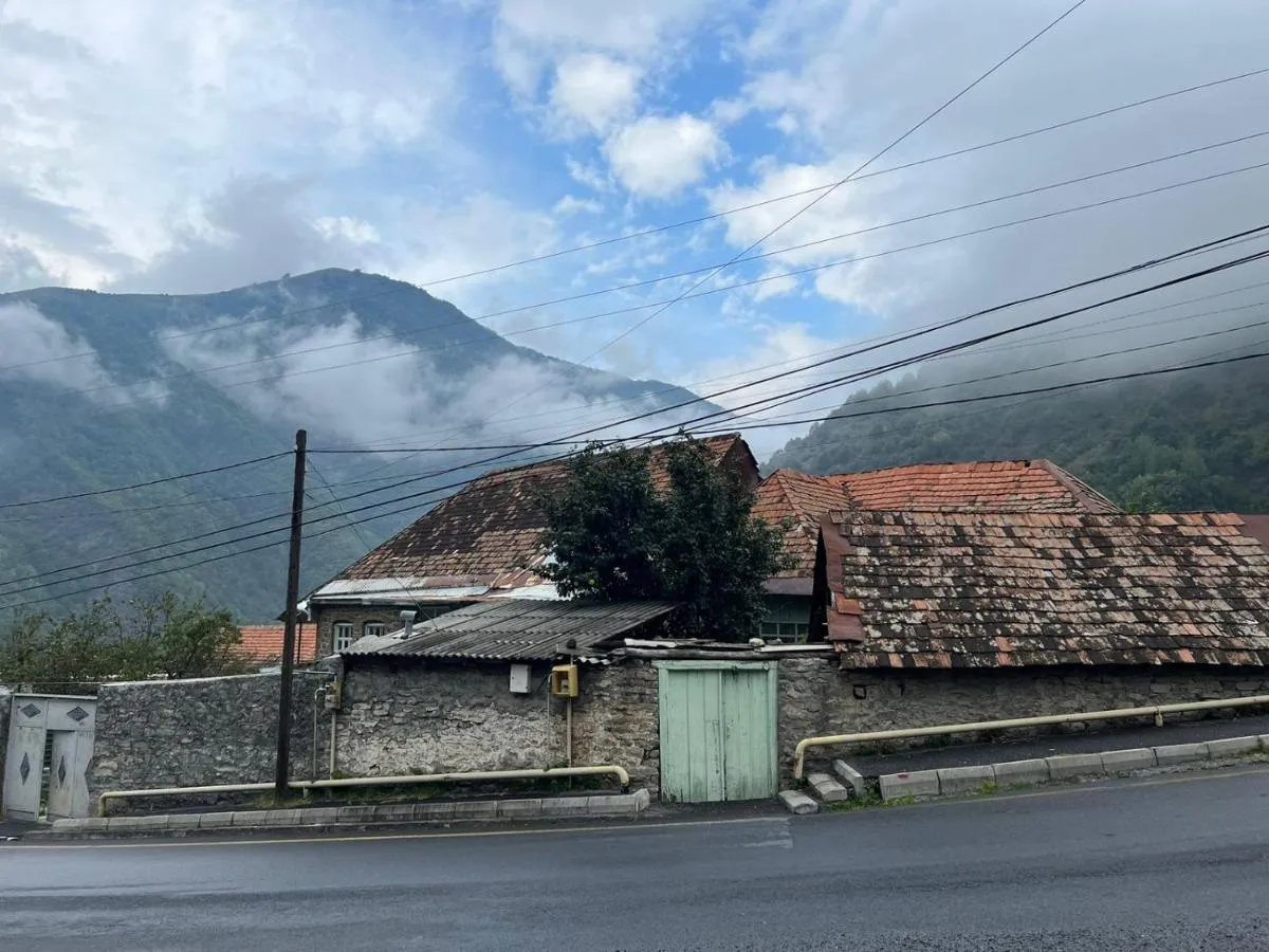غويستهووسي يليسو — صورة 3