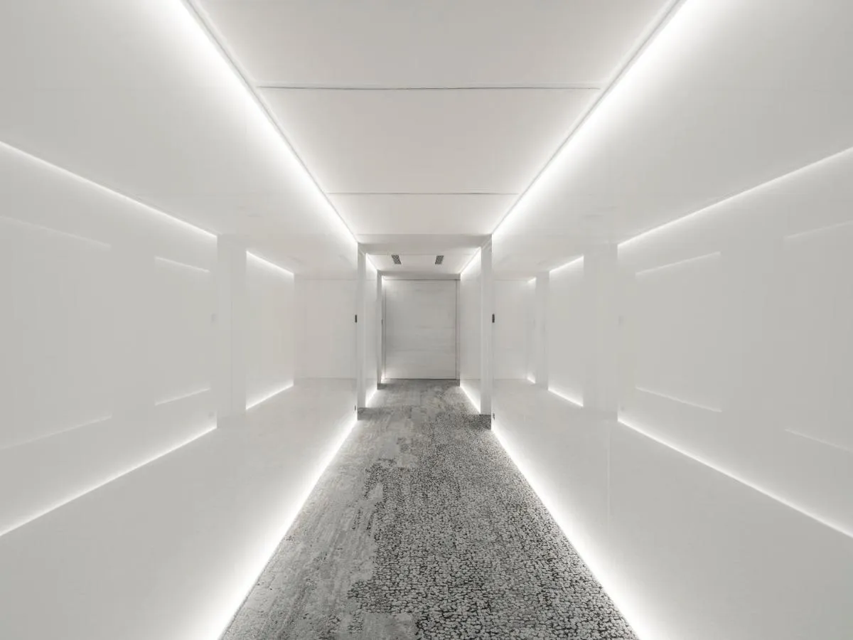 سوييو داان — صورة 2