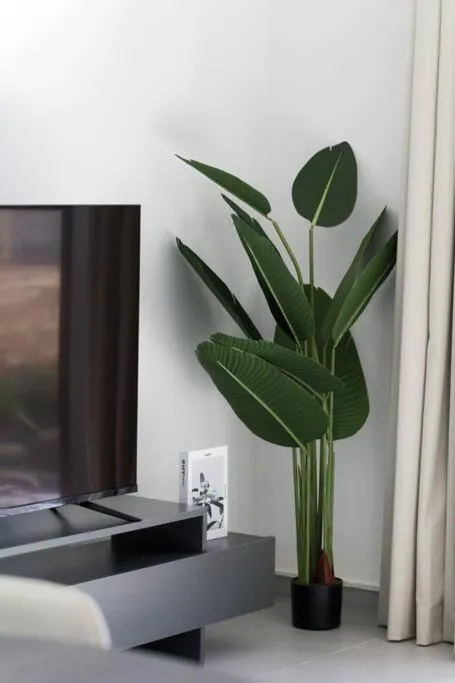 ⁨Sahab - courtyard view 1BR⁩ — صورة 32