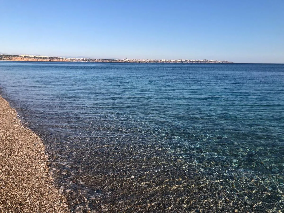 هوتيل رويال هيلل — صورة 3