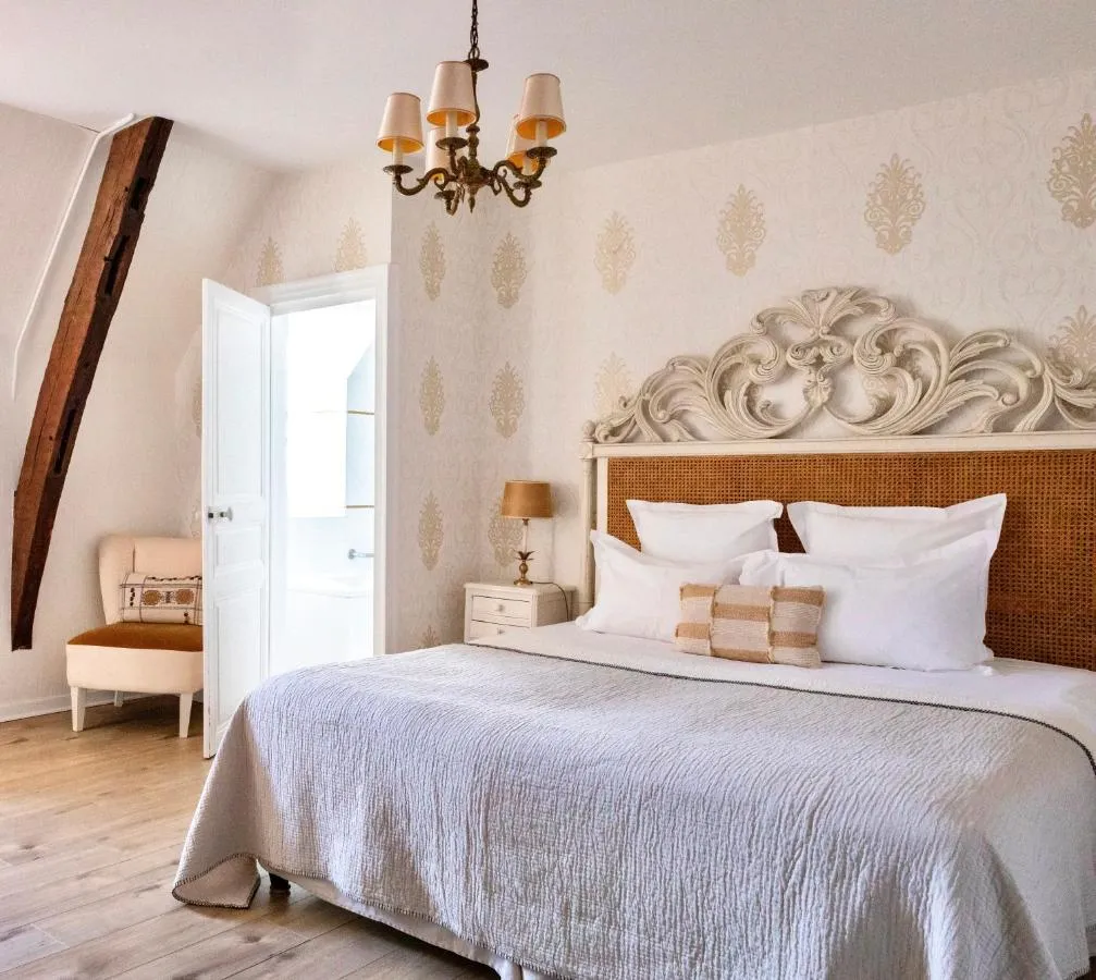 هôتيل دو مايل - Angers، فرنسا