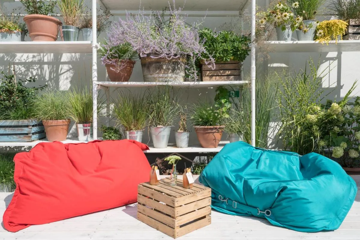 روبي ماري فيينا — صورة 3