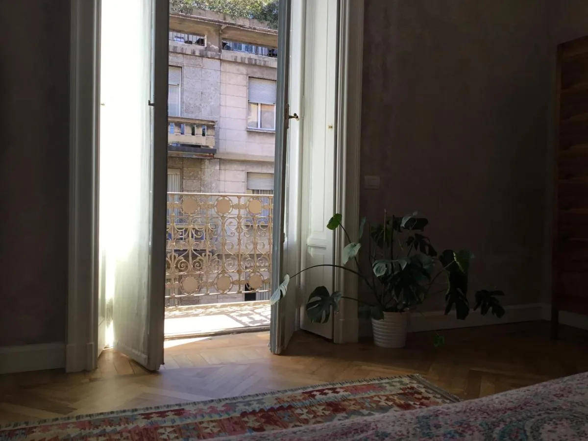 ⁨زبرا روسسو⁩ — صورة 7