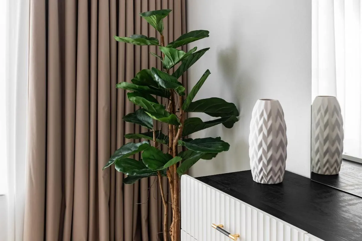⁨1 bedroom Apartment in JBR⁩ — صورة 48