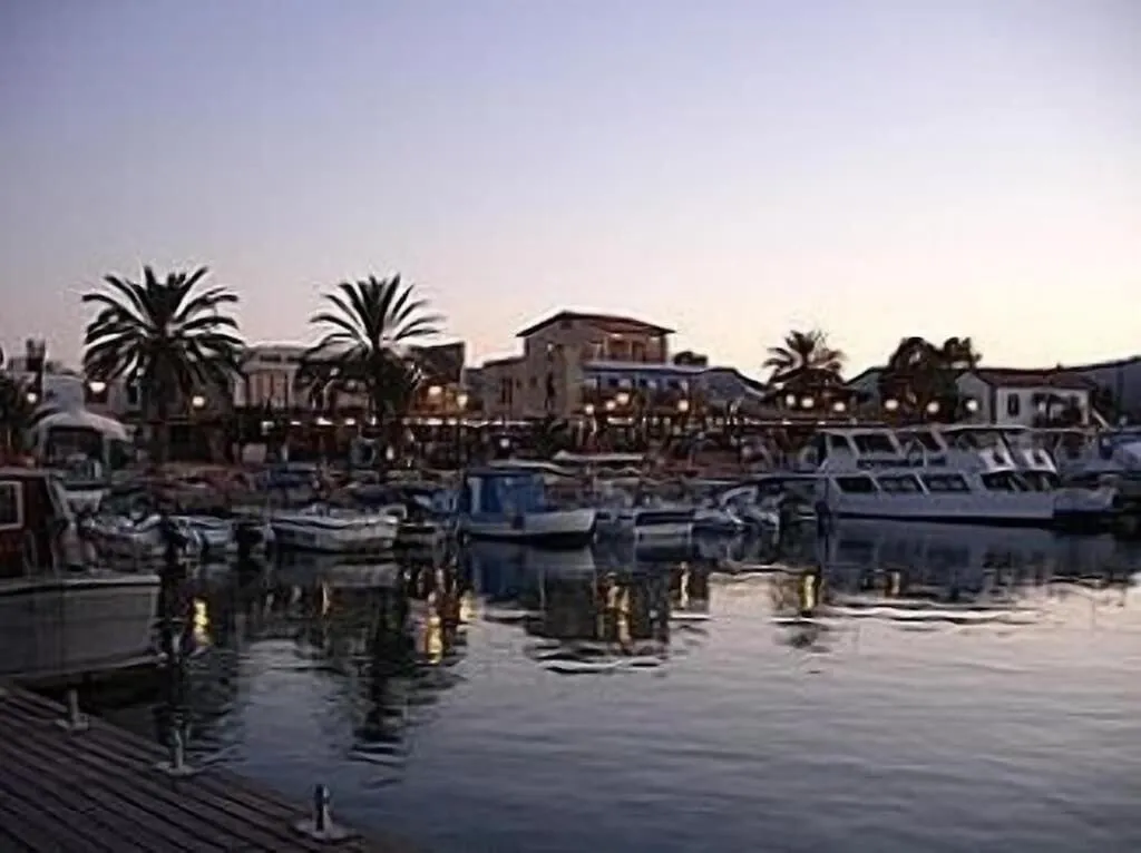 بارك فييو غاردنز ه502 — صورة 3