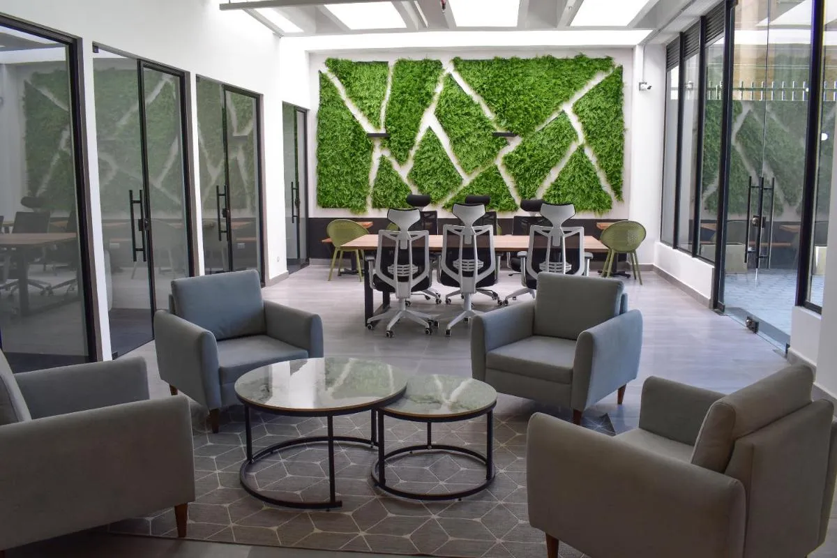 فو باي افيا — صورة 4