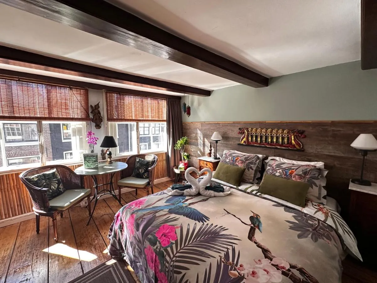 أمستردام بارانغاي - أمستردام، هولندا