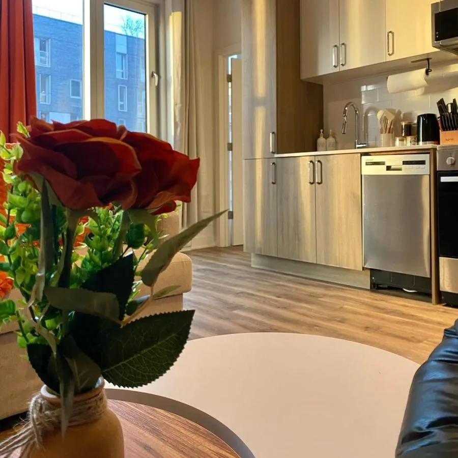 ترراكوتتا 1 بد ين داون تاون متل - مونتريال، كندا