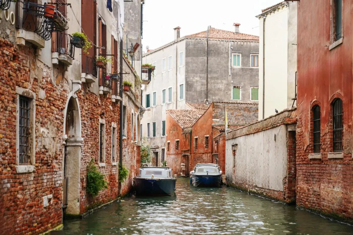 ⁨نوما البندقية فوركولا⁩ — صورة 14