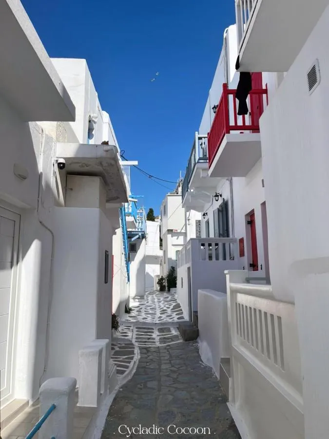 ⁨كيكلاديك كوكون ميكونوس توون⁩ — صورة 14