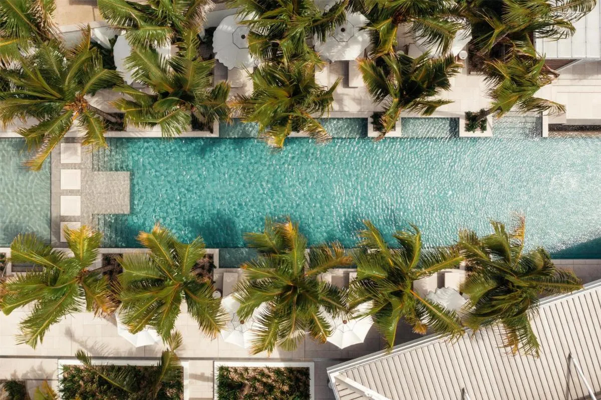 ون آند أونلي لو سان جيران — صورة 2