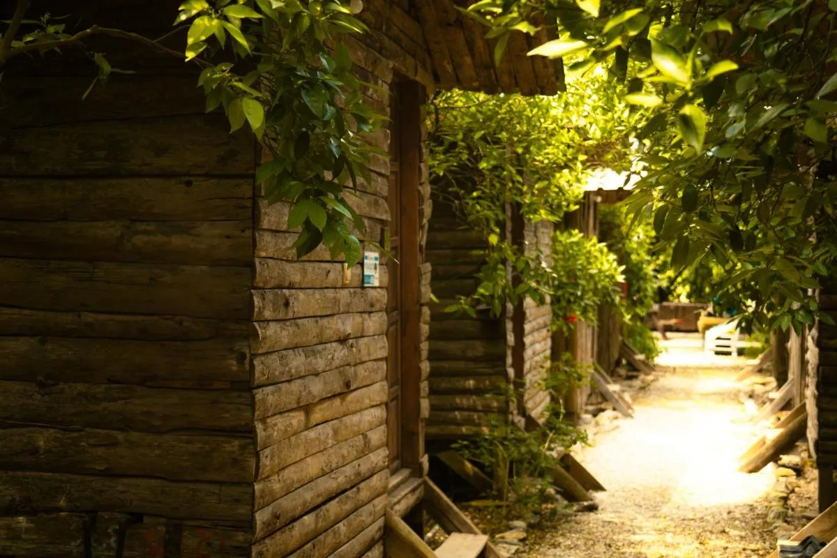 Olympos Yakamoz Pansiyon — صورة 3