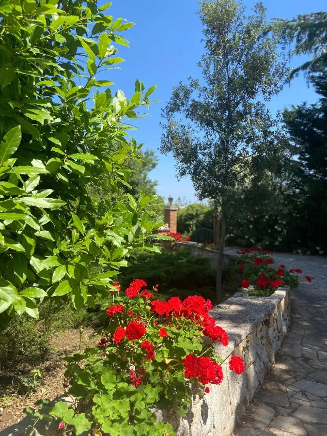 فيلا مارزانو — صورة 3