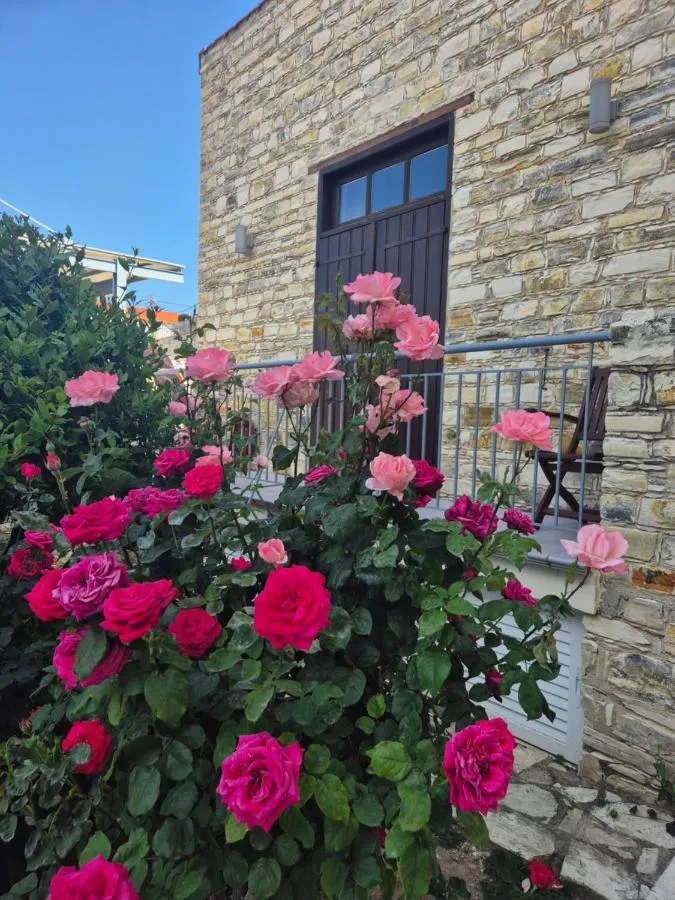 ⁨اونت ماريا'س⁩ — صورة 33