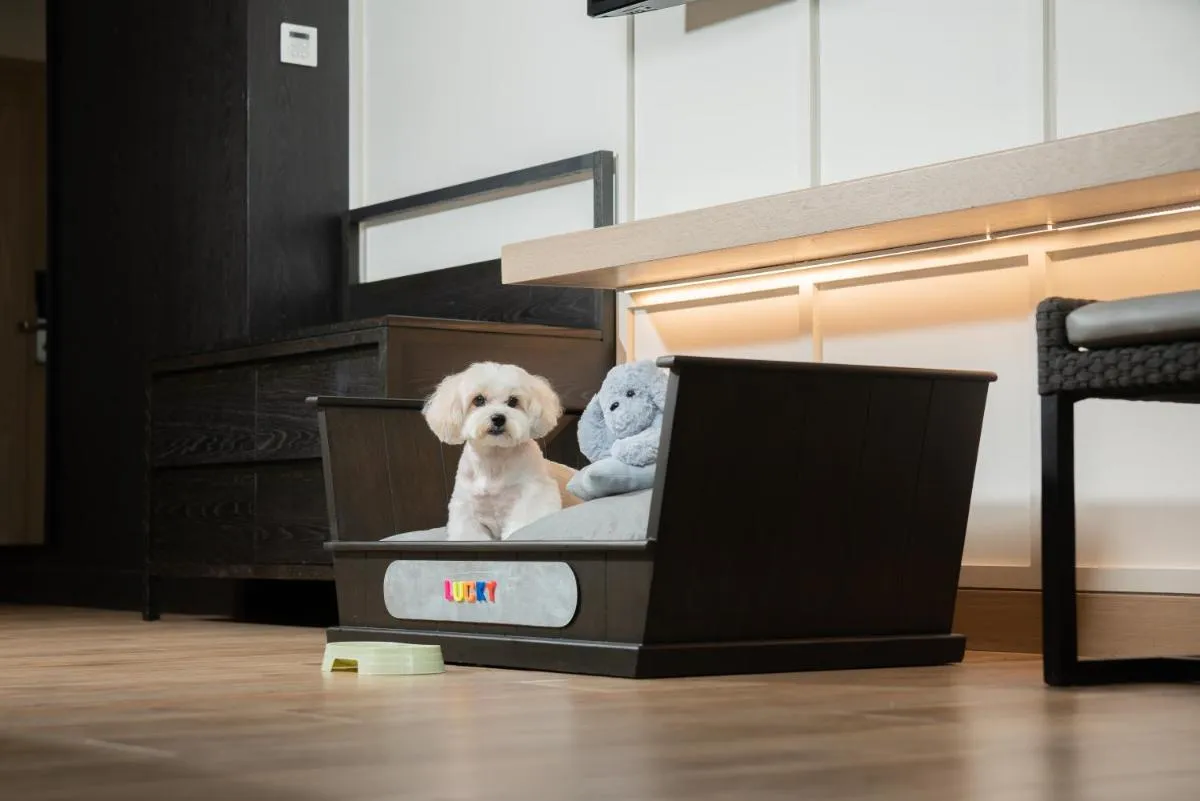 حياة ريجنسي هوا هين — صورة 2