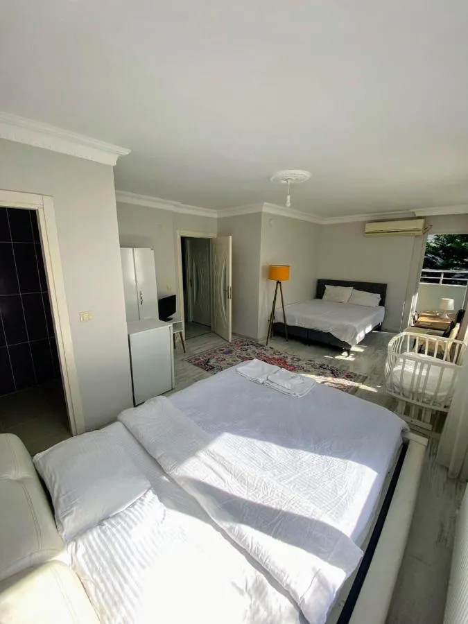 forest villa, breakfast hotel, 6 minutes from Istanbul airport — صورة 2