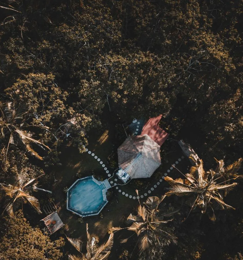 ⁨كومبوه جونغل⁩ — صورة 9