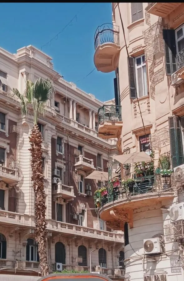 سايرو إن — صورة 4