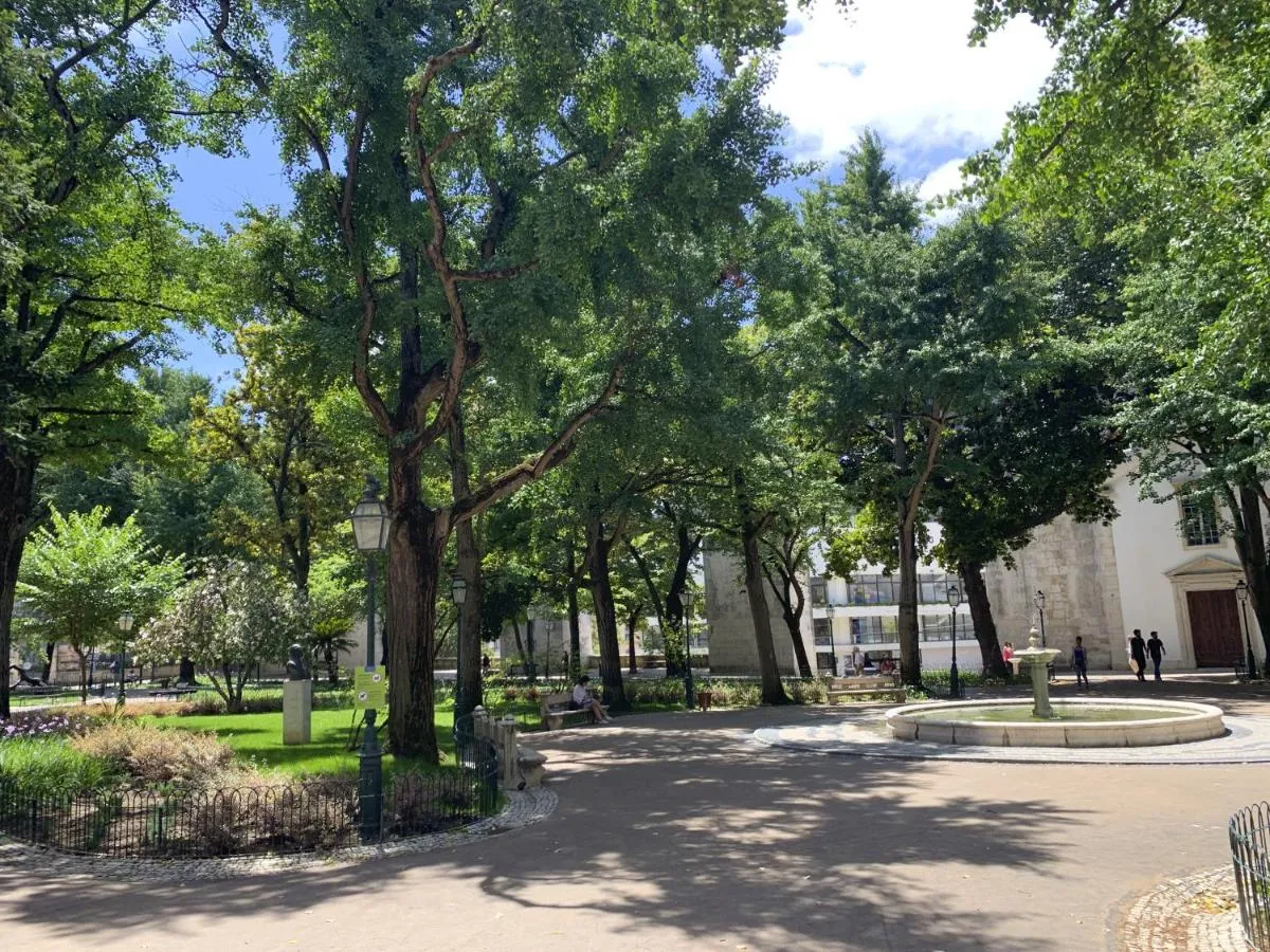 ⁨لف بريمير امورايراس ام3⁩ — صورة 21