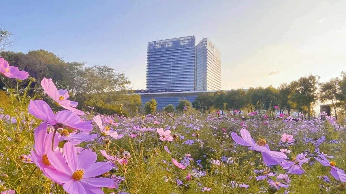 راديسون شانغهاي - شنغهاي، الصين