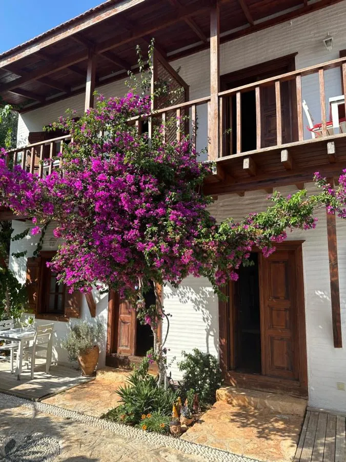 كورتيارد - Kalkan، تركيا