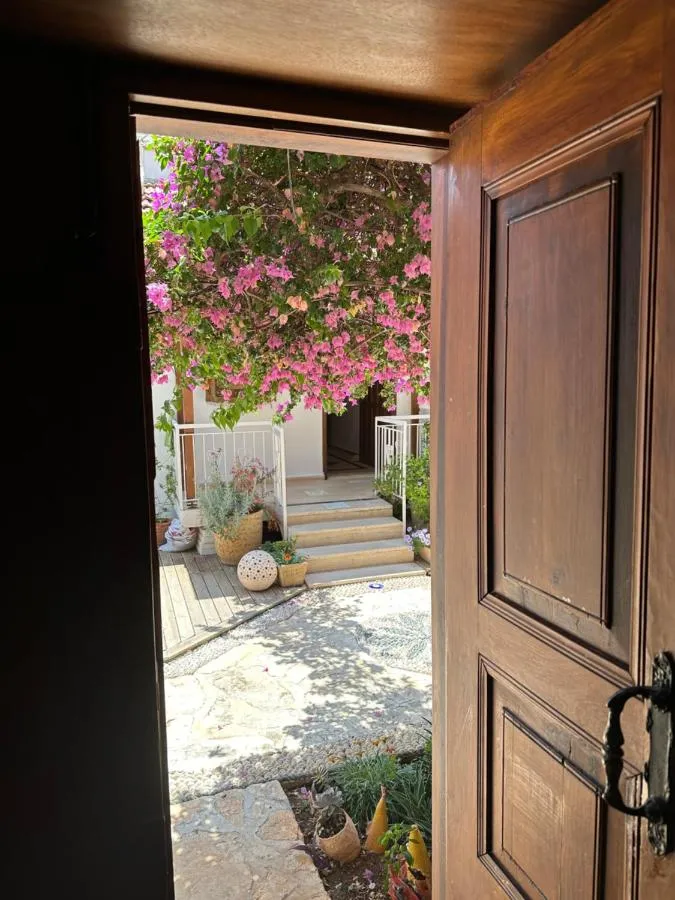 ⁨كورتيارد⁩ — صورة 11
