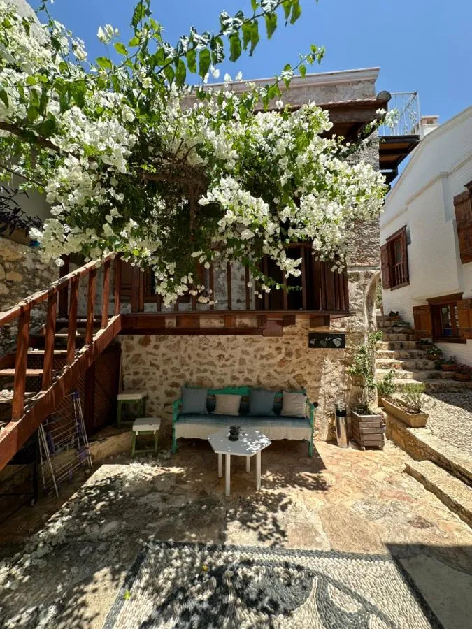 ⁨كورتيارد⁩ — صورة 6