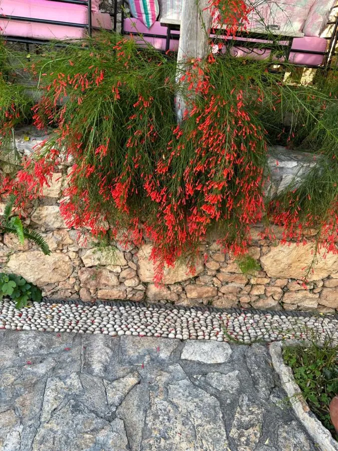 ⁨كورتيارد⁩ — صورة 4