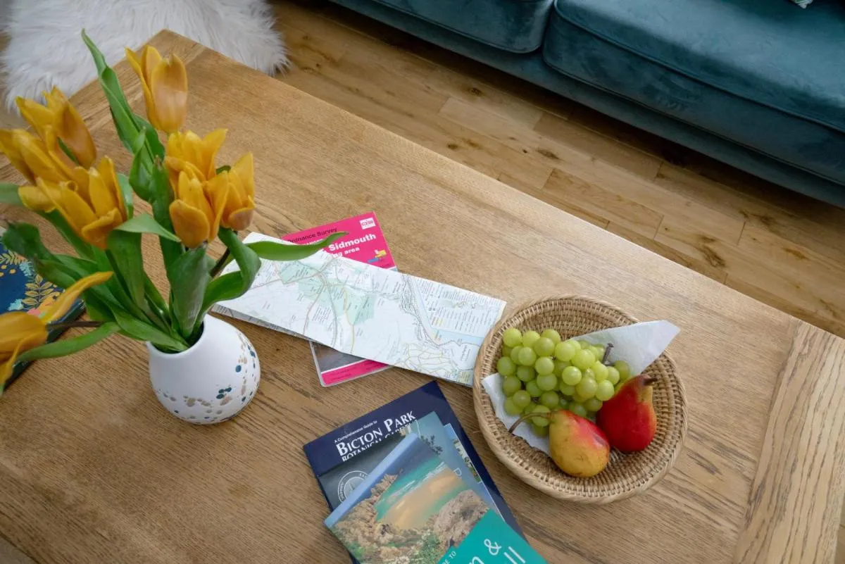 بودلييغه برييزي — صورة 4