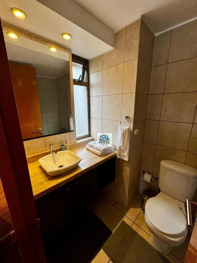 دبارتامنتو مودرنو فولل إكويبادو غنرال فلورس — صورة 4